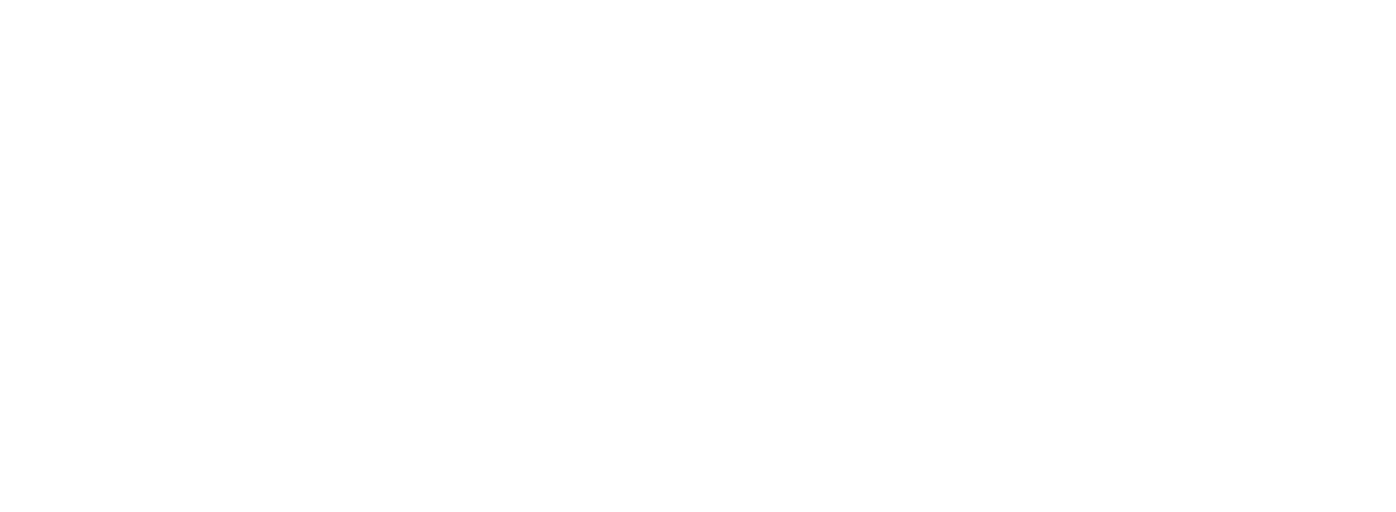 Travel Moldova Logo